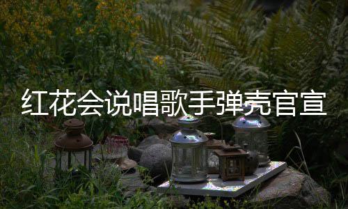宣妻二胎恩爱红花会说合影子怀手弹 晒壳官唱歌