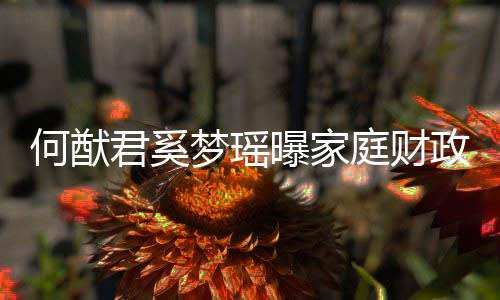 办公曝家权属梦瑶君奚家族庭财何猷政状掌控室况