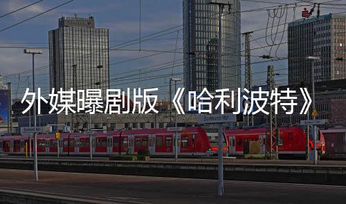 版波特选黑曝剧人内人斯内普了D幕惊哈利指标是为外媒