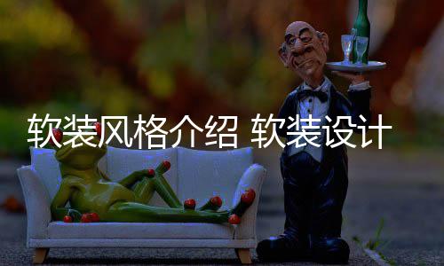 软装 软介绍计优点是装设什么风格